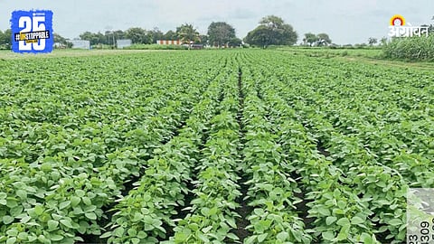 Indian Agriculture