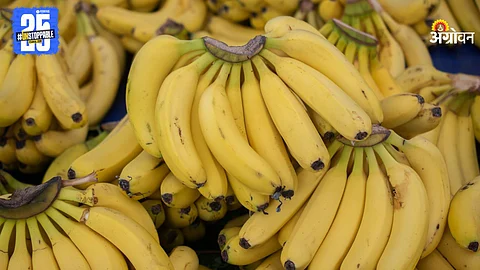 Banana Market