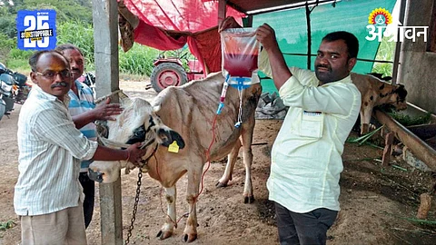 AnimalBlood Transfusion