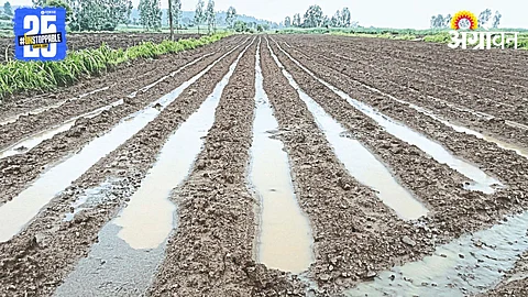 Kharif Sowing