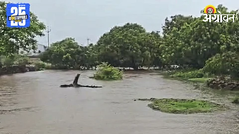 Heavy Rain