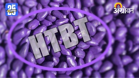 HTBT Seeds