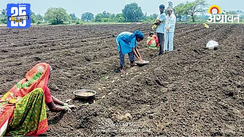 Kharif Sowing