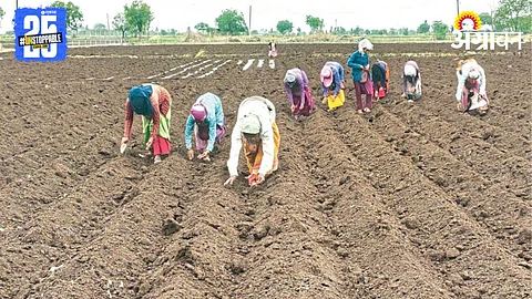Kharif Sowing
