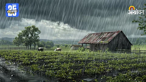 Monsoon Rain