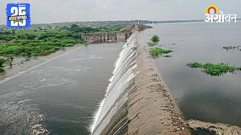 Seena Dam