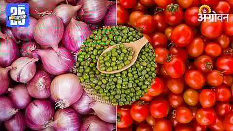 Agriculture Market Update