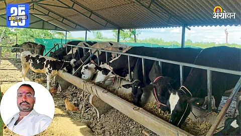 Janardan Shende and their Cows