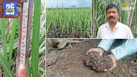 Vinod Babar and their farm