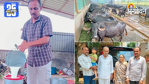 Dairy Farming