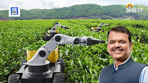 AI Agriculture Policy