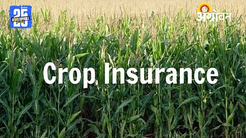 Crop Insurance