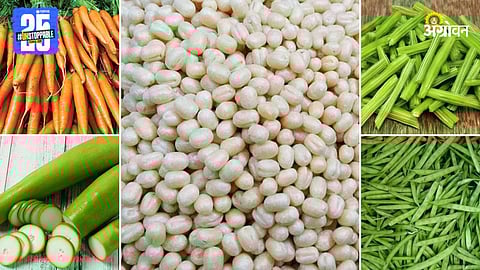 Agriculture Market Products