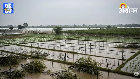 Nashik Storm
