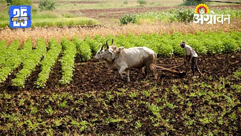Farmer Empowerment