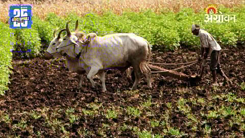 Khandesh Agriculture