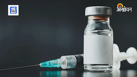 Poultry Vaccine