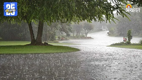 Monsoon Rain