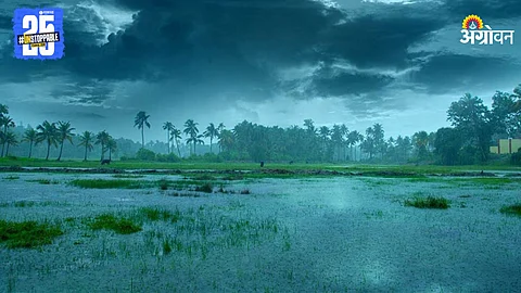 Monsoon