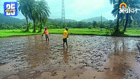 Kharif Sowing