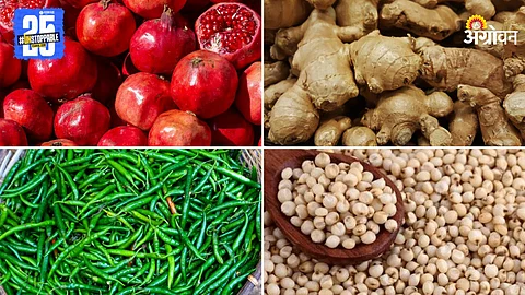 Market Products