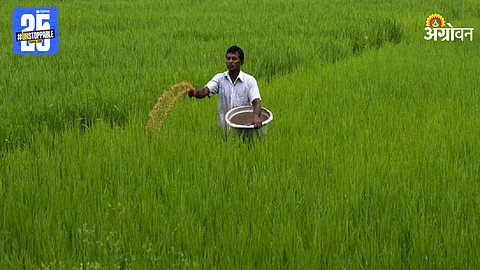 Indian Farmer