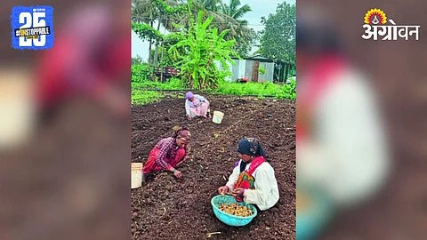 Kharif Sowing
