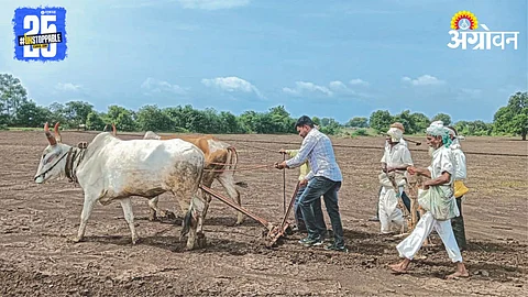 Kharif Sowing