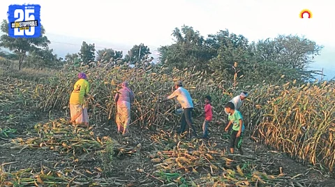 Indian Agriculture