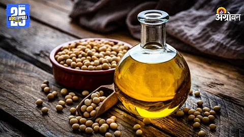 Soya Oil
