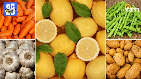 Agriculture Market Products