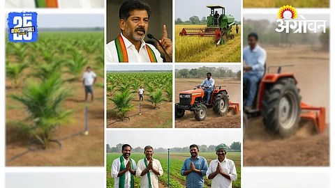Telangana Farming