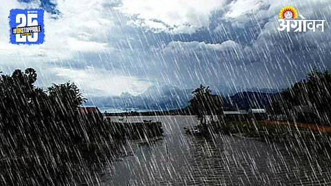 Sindhudurg Rain