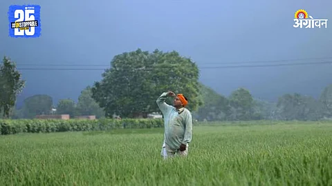 Monsoon