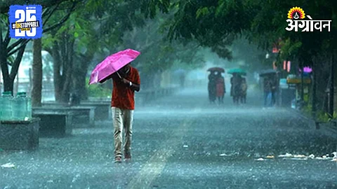 Rain Alert