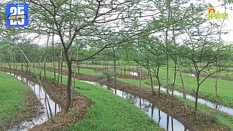 Watershed Management