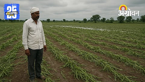 Farmer Compensation