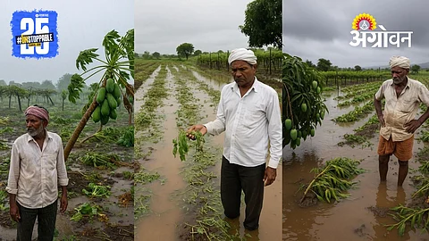 Pune Rain Damage