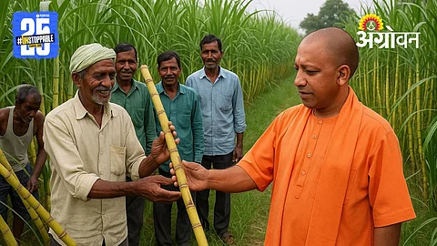 Sugarcane Development