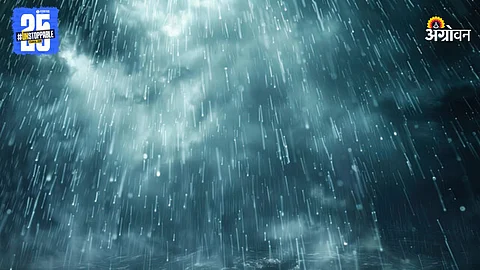 Maharashtra Rain