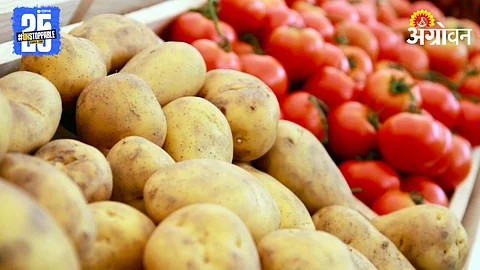 Tomato Potato