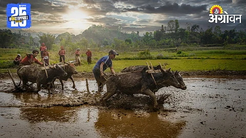 Natural Farming
