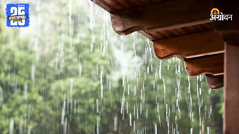 Rain
