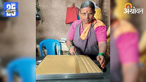 Barfi Making Business