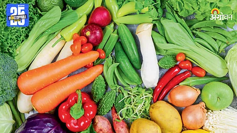 Organic Farming