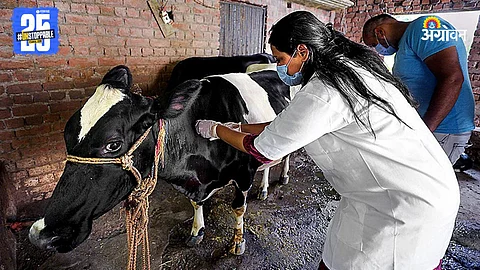 Veterinary Services