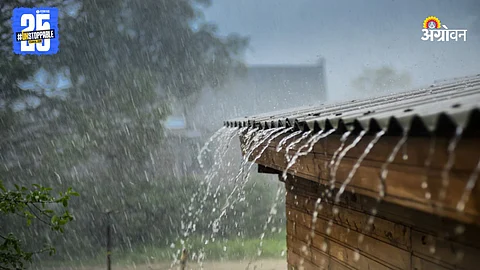 Maharashtra Rain