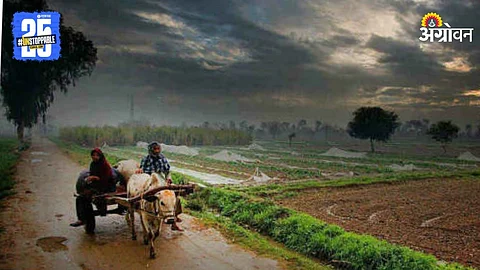 Sindhudurg Rain