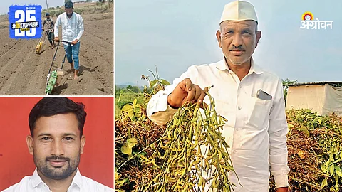 Soybean Farming