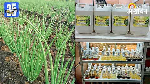 Organic Farming